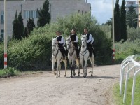 Foto cavalcata 14